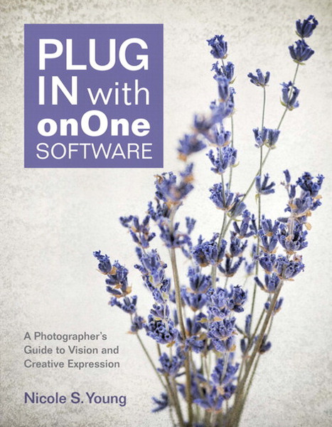 Peachpit Plug In with onOne Software: A Photographer's Guide to Vision and Creative Expression 352Seiten Software-Handbuch