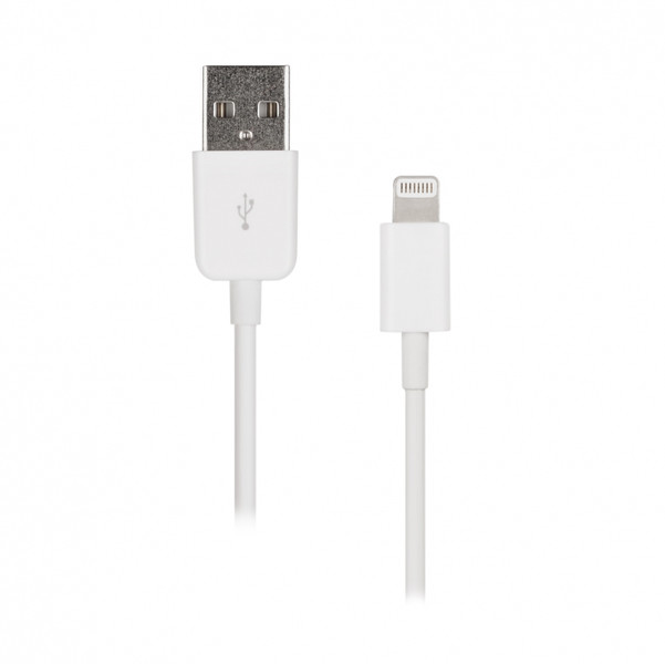 Artwizz Lightning to USB Cable 1м Lightning USB Белый дата-кабель мобильных телефонов