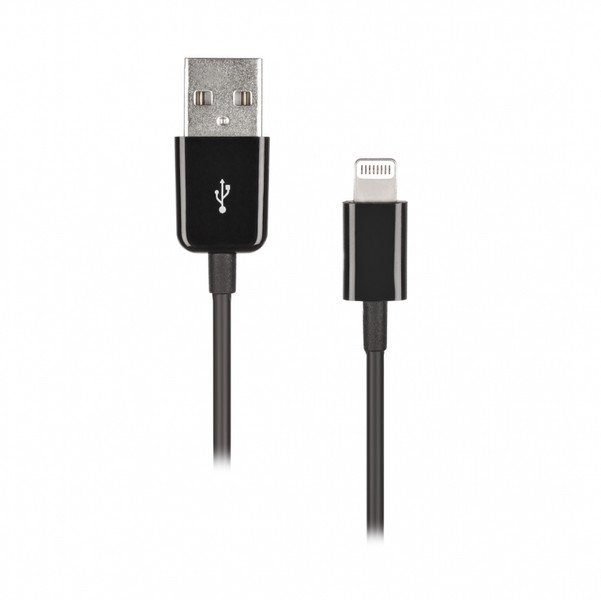 Artwizz Lightning to USB Cable 1м Lightning USB Черный дата-кабель мобильных телефонов