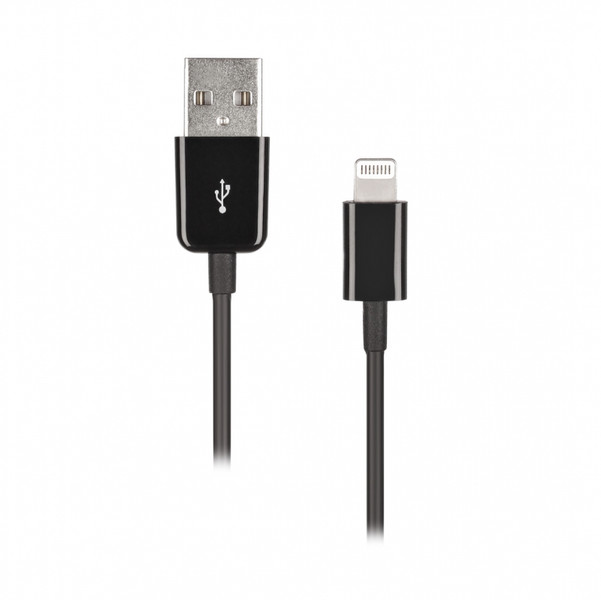 Artwizz Lightning to USB Cable 1m Lightning USB Black mobile phone cable