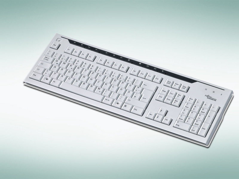 Fujitsu KB500 D USB Grau Tastatur