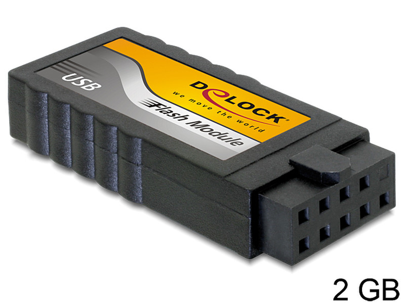 DeLOCK 54152 2ГБ USB 2.0 Type-A Черный USB флеш накопитель