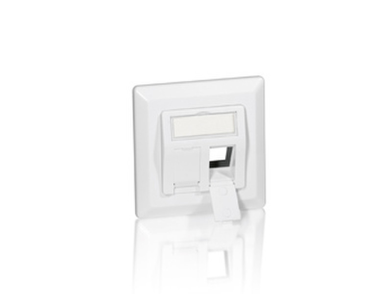 Equip 2-Port German Faceplate outlet box