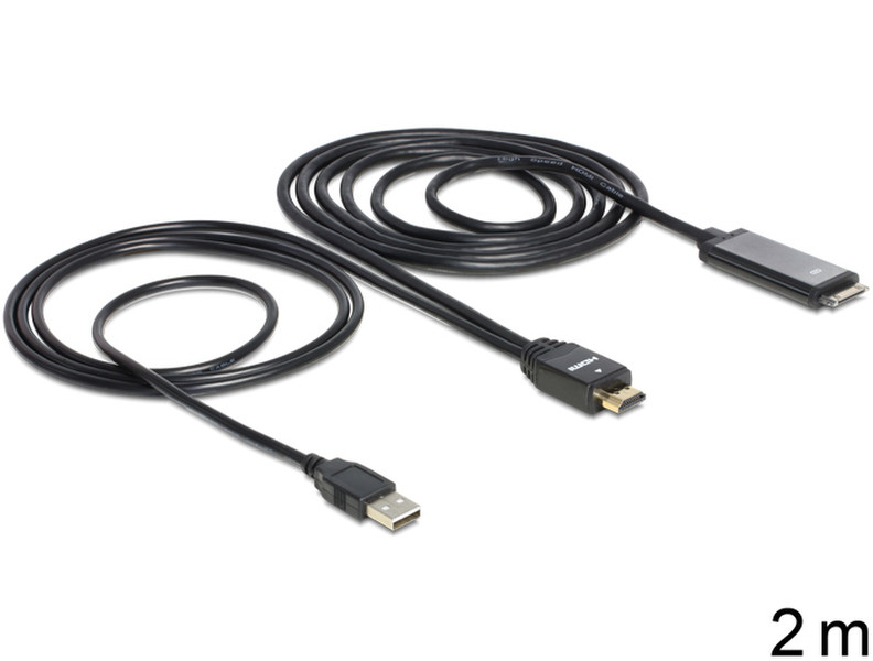 DeLOCK 2m, HDMI - IPad 30p, USB-A 2м HDMI Черный адаптер для видео кабеля
