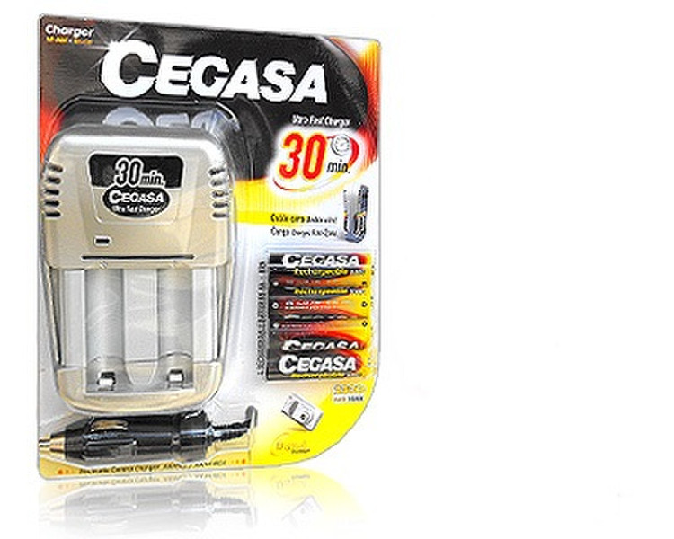 Cegasa 100857 Auto/Indoor Серый зарядное устройство