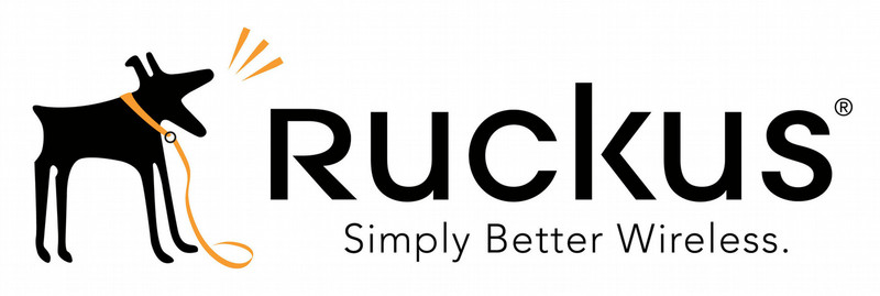 Ruckus Wireless 823-5000-3RDY