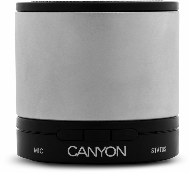 Canyon CNA-BTSP02S Stereo Silver