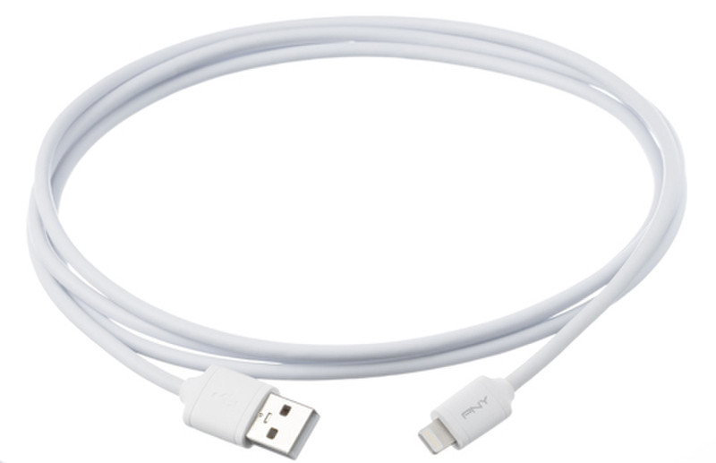 PNY C-UA-LN-W01-06 1.8m White mobile phone cable