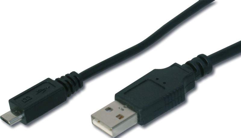 Ednet 31600 USB Kabel