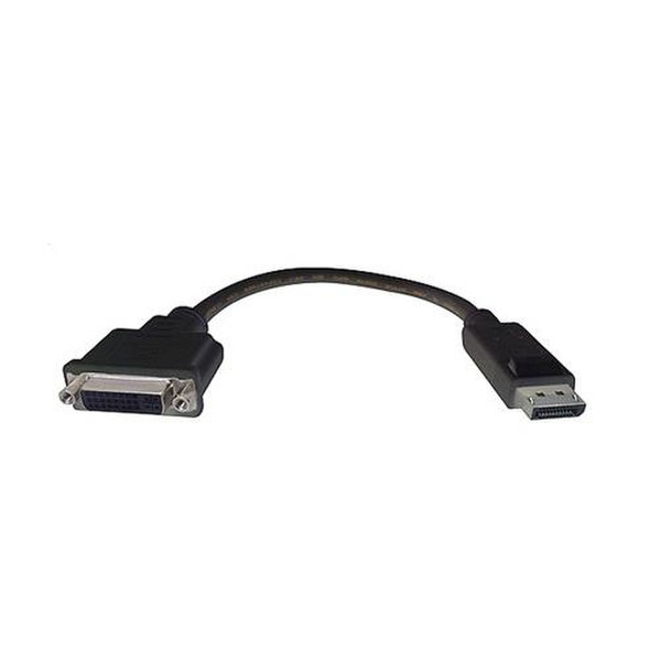 Comprehensive DisplayPort - DVI DisplayPort DVI-D Black