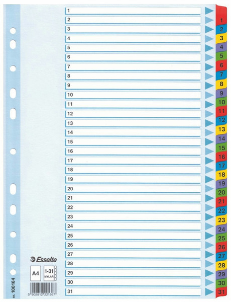 Leitz 100164 filing pocket