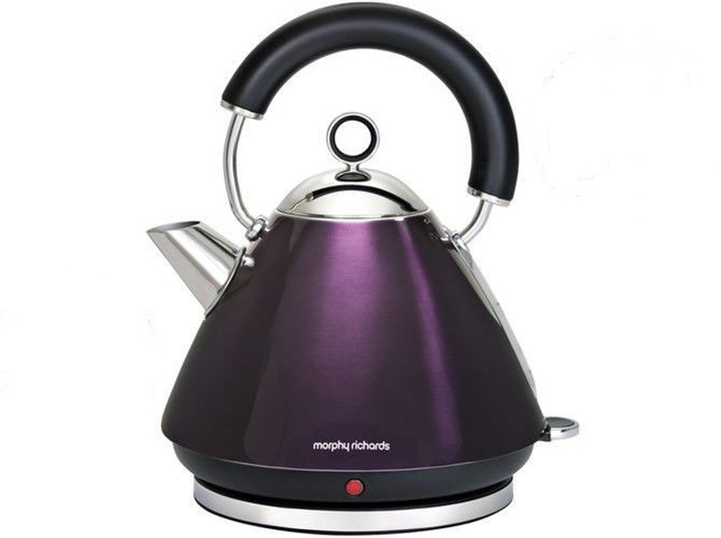Morphy Richards 43859 electrical kettle