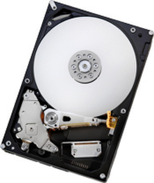 Hitachi Deskstar E7K1000 750GB 750GB Serial ATA internal hard drive