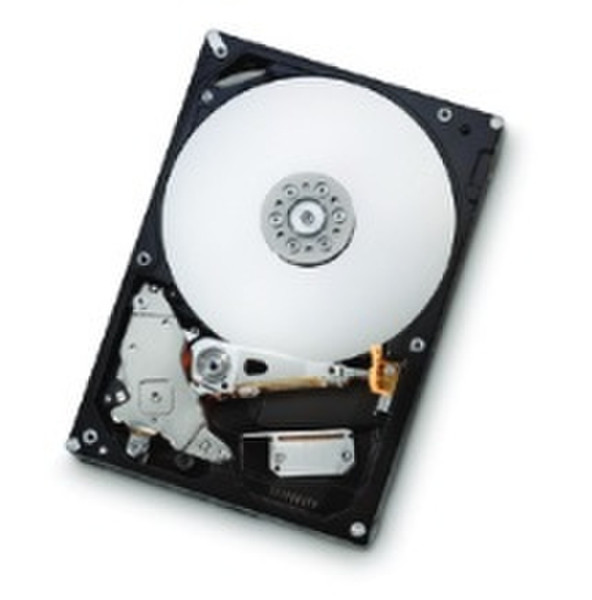 Hitachi Deskstar E7K1000 500GB 500GB Serial ATA II internal hard drive