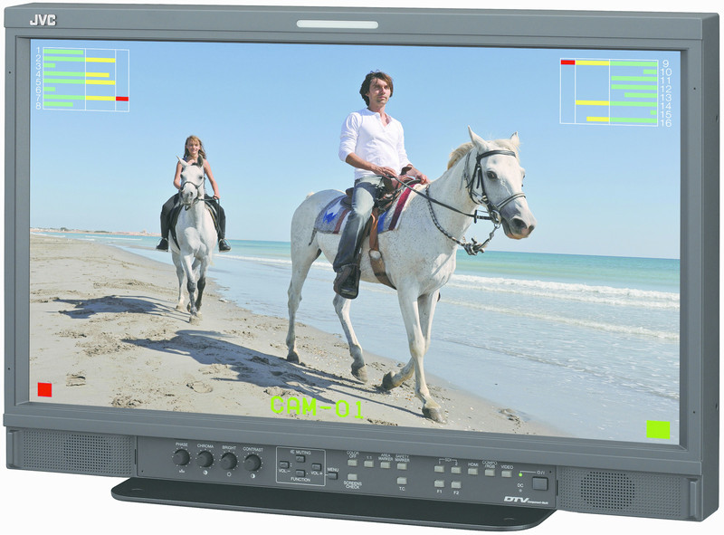 JVC DT-E21L4U 21.5Zoll Full HD Schwarz Computerbildschirm LED display
