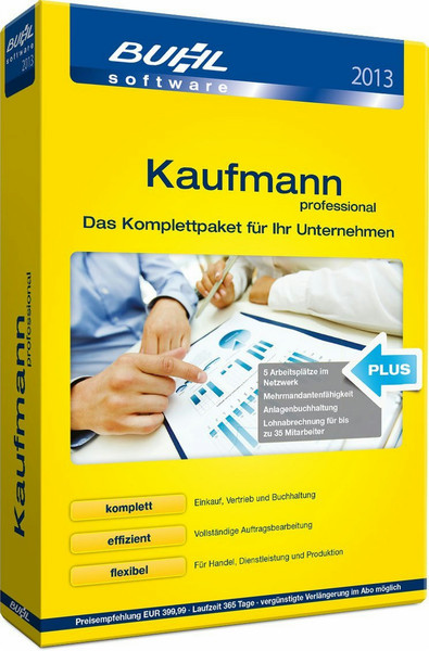 Buhl Data Service Kaufmann 2013 Professional
