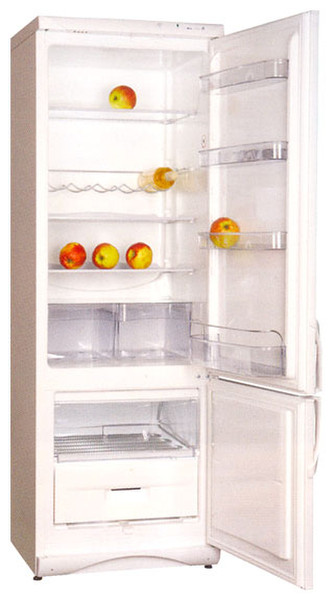 Snaige RF 315-1803 A Отдельностоящий Белый холодильник с морозильной камерой