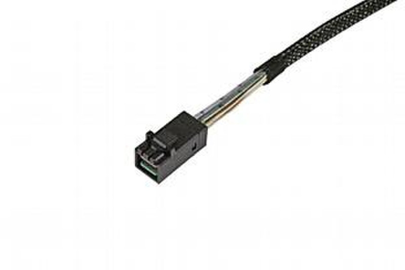 LSI LSI00410 0.6m Serial Attached SCSI (SAS) cable