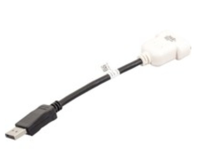DELL DisplayPort/DVI-D