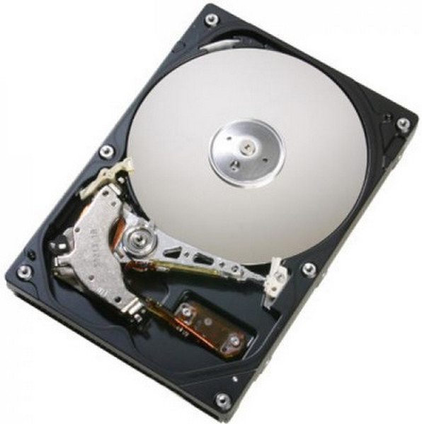 Hitachi CinemaStar 7K1000.B 160GB 160GB Serial ATA II internal hard drive