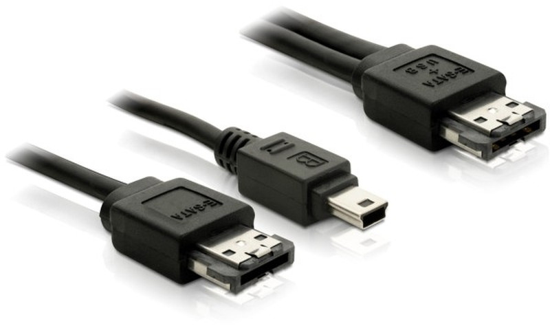 DeLOCK Power Over eSATA Y- cable > USB mini/eSATA male 1m 1м Черный кабель USB