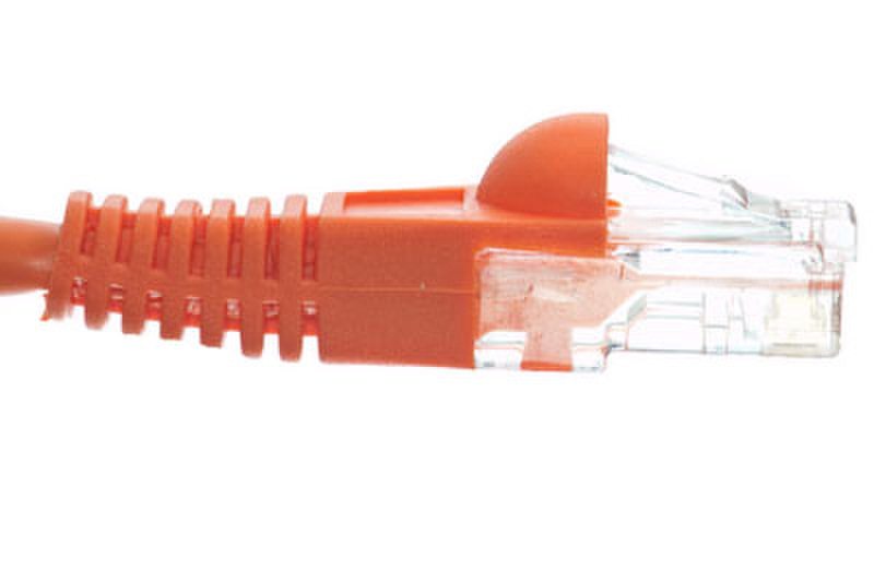 eNet Components Cat6 50ft. 15.2m Cat6 Orange