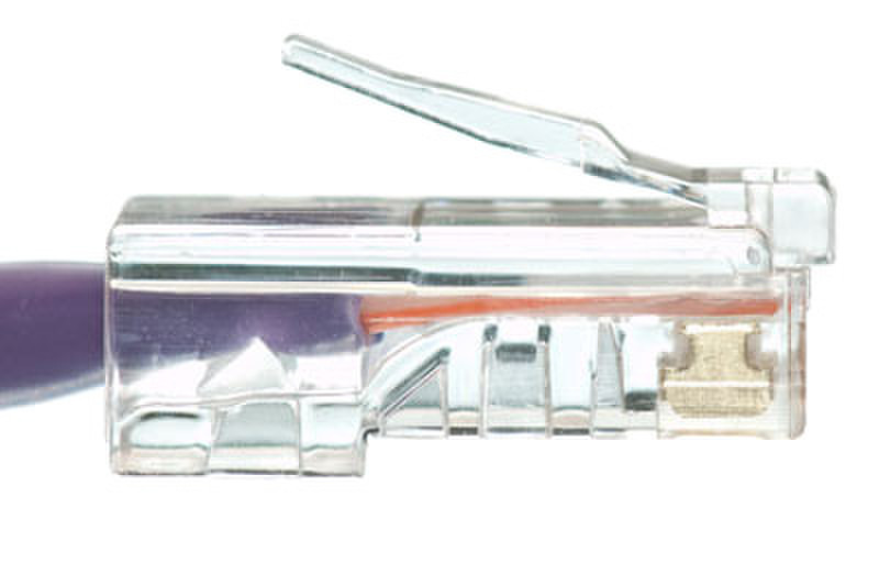 eNet Components Cat6 7ft. 2.1m Cat6 Purple