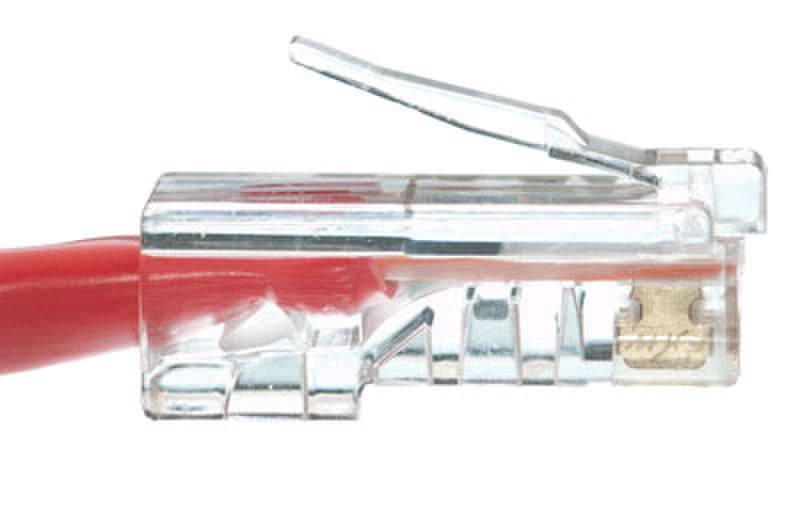 eNet Components Cat6 14ft. 4.2m Cat6 Red