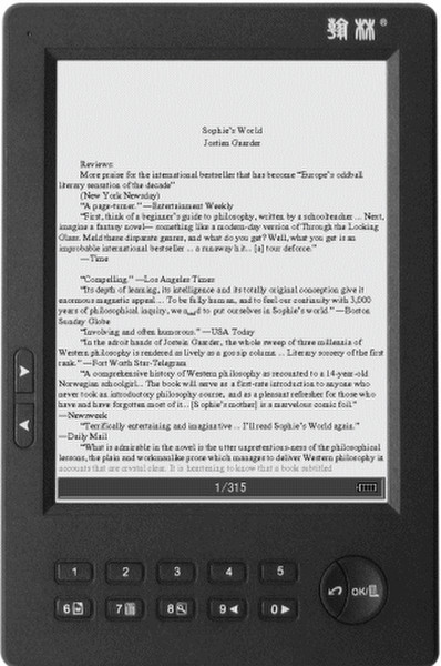Jinke Hanlin V3 6" 0.5ГБ Черный электронная книга
