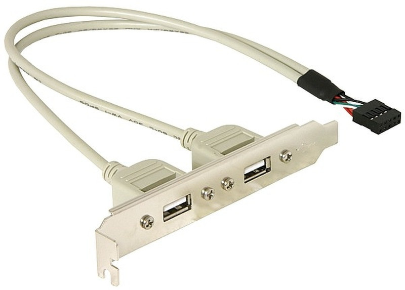 DeLOCK Slotbracket 1x internal USB 5pin > 2x USB2.0 external 0.3m USB A White USB cable