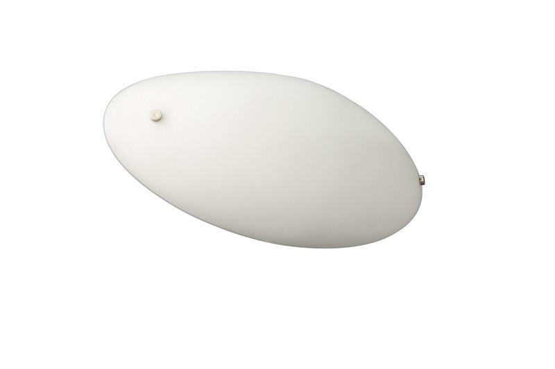 Massive Ceiling light 301471717