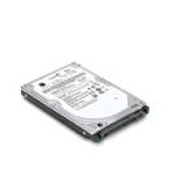 Lenovo ThinkPad FDE Serial ATA Hard Drive 250GB SATA Interne Festplatte