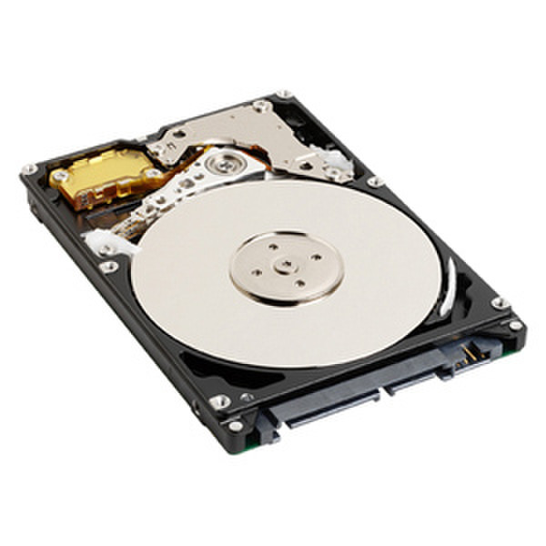 Huawei 02310LAY 1000GB SAS hard disk drive