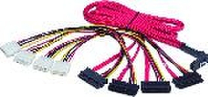 Promise Technology Promise Mini SAS to SAS Mini-SAS SAS cable interface/gender adapter