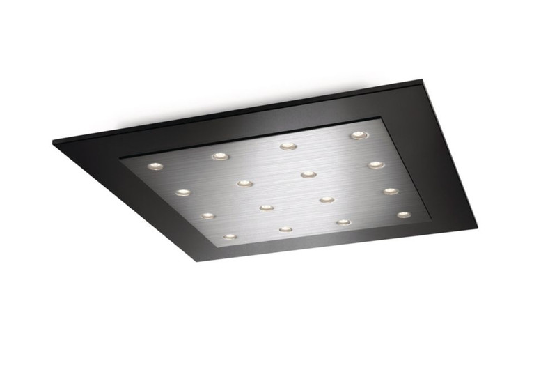 Philips 407421148 Indoor 2.5W Black ceiling lighting