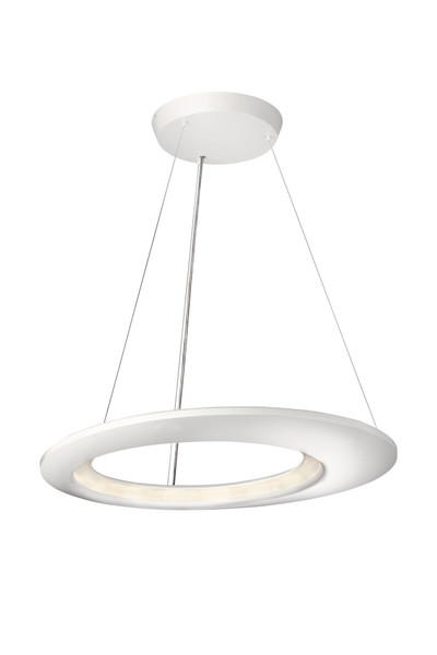 Philips myLiving 407553148 Flexible mount 2.5W LED White suspension lighting