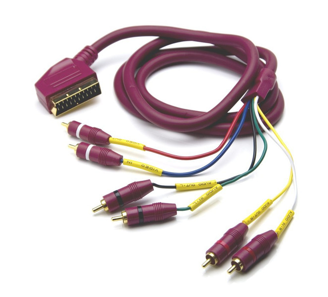 G&BL VDS824 2м SCART (21-pin) 4 x RCA Фиолетовый адаптер для видео кабеля