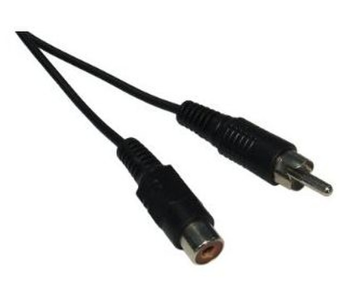 Max Value 10m RCA