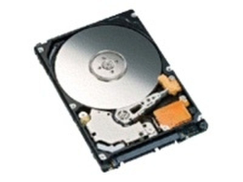 Fujitsu MHZ2250CJ 250GB SATA Interne Festplatte