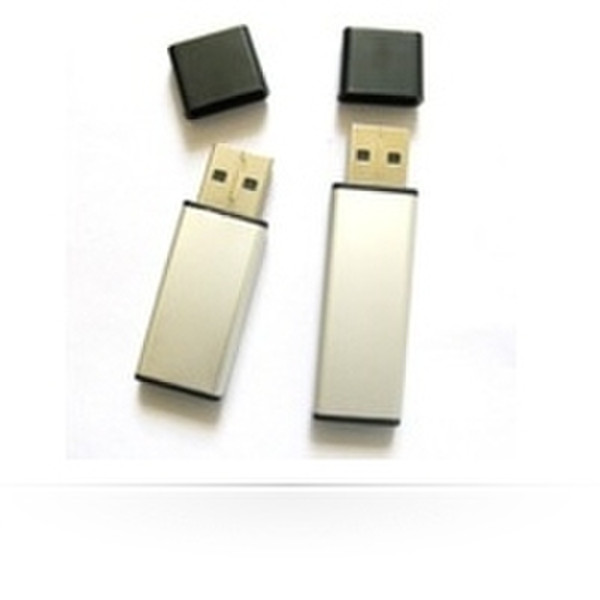 MicroMemory AFLM140GB1 1ГБ USB 2.0 USB флеш накопитель