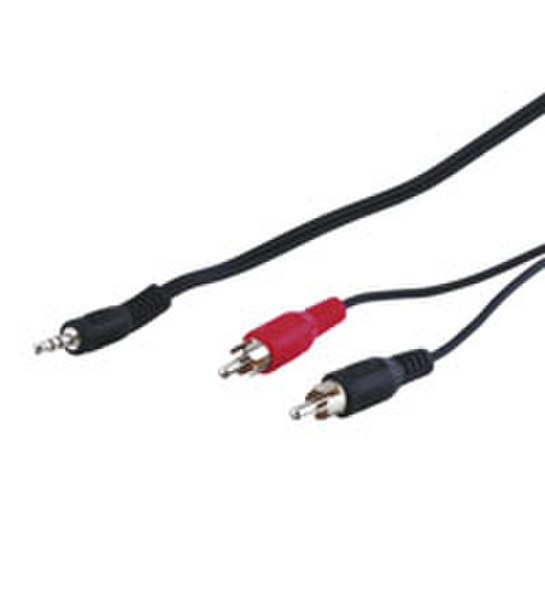 Wentronic AVK 118-1000 10.0m 10m 3.5mm 2 x RCA Schwarz Audio-Kabel