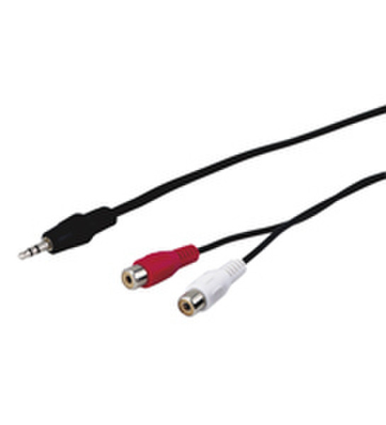 Wentronic AVK 190-150 1.5m 1.5m 3.5mm 2 x RCA audio cable