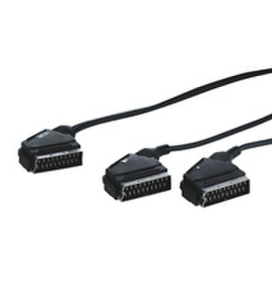Wentronic AVK 173-200 2.0m 2m SCART (21-pin) SCART (21-pin) SCART cable