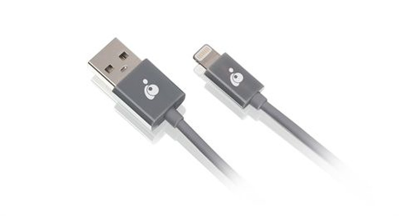 iogear GUL01 1м Mini-USB A Lightning Серый кабель USB