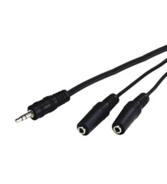 Wentronic AVK 317-020 0.2m 0.2m 3.5mm Schwarz Audio-Kabel