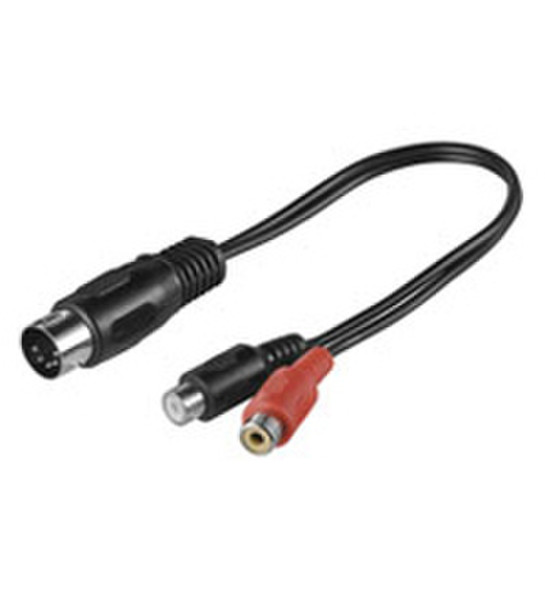 Wentronic AVK 102-020 0.2m 0.2м 5-pin DIN 2 x RCA Черный