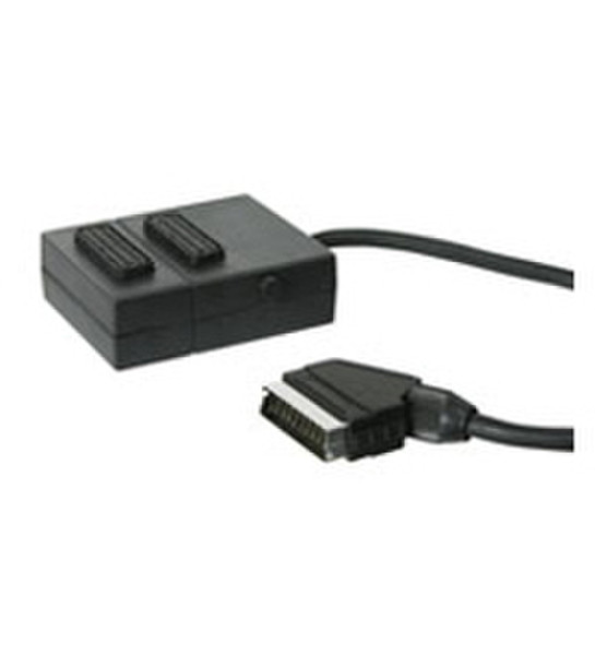 Wentronic AVK 164 S 0.4m 0.4m SCART (21-pin) SCART (21-pin) Black SCART cable