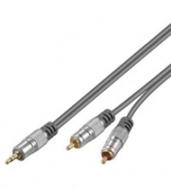 Wentronic HT 90-500 5,0m 5m 3.5mm 2 x RCA audio cable