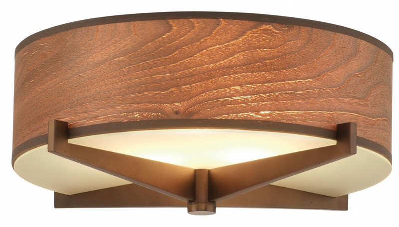 Philips F2873 Indoor Brown ceiling lighting