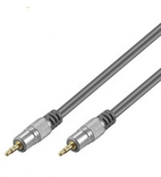 Wentronic HT 95-250 2,5m 2.5m 3.5mm 3.5mm audio cable